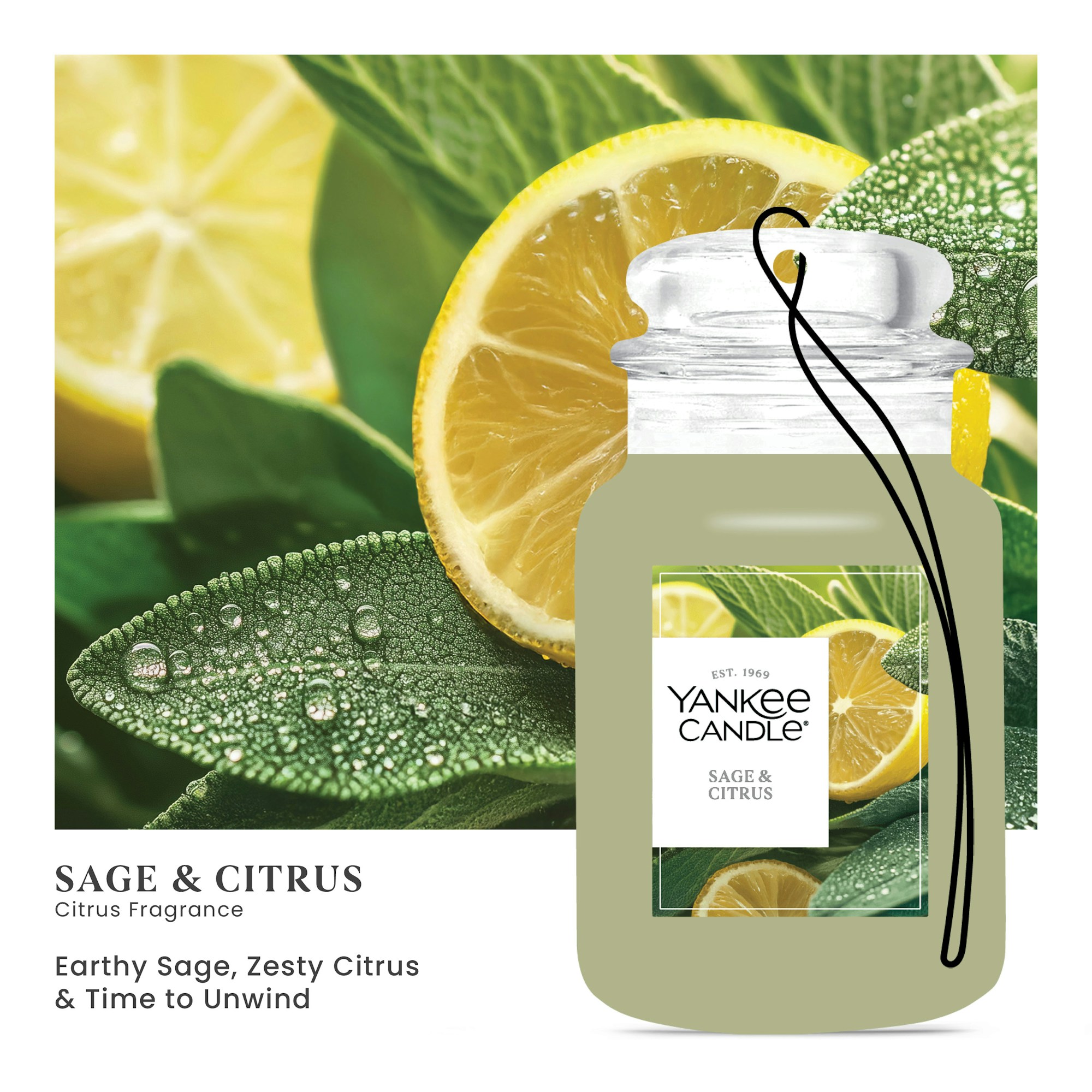 Sage & Citrus - Image 2