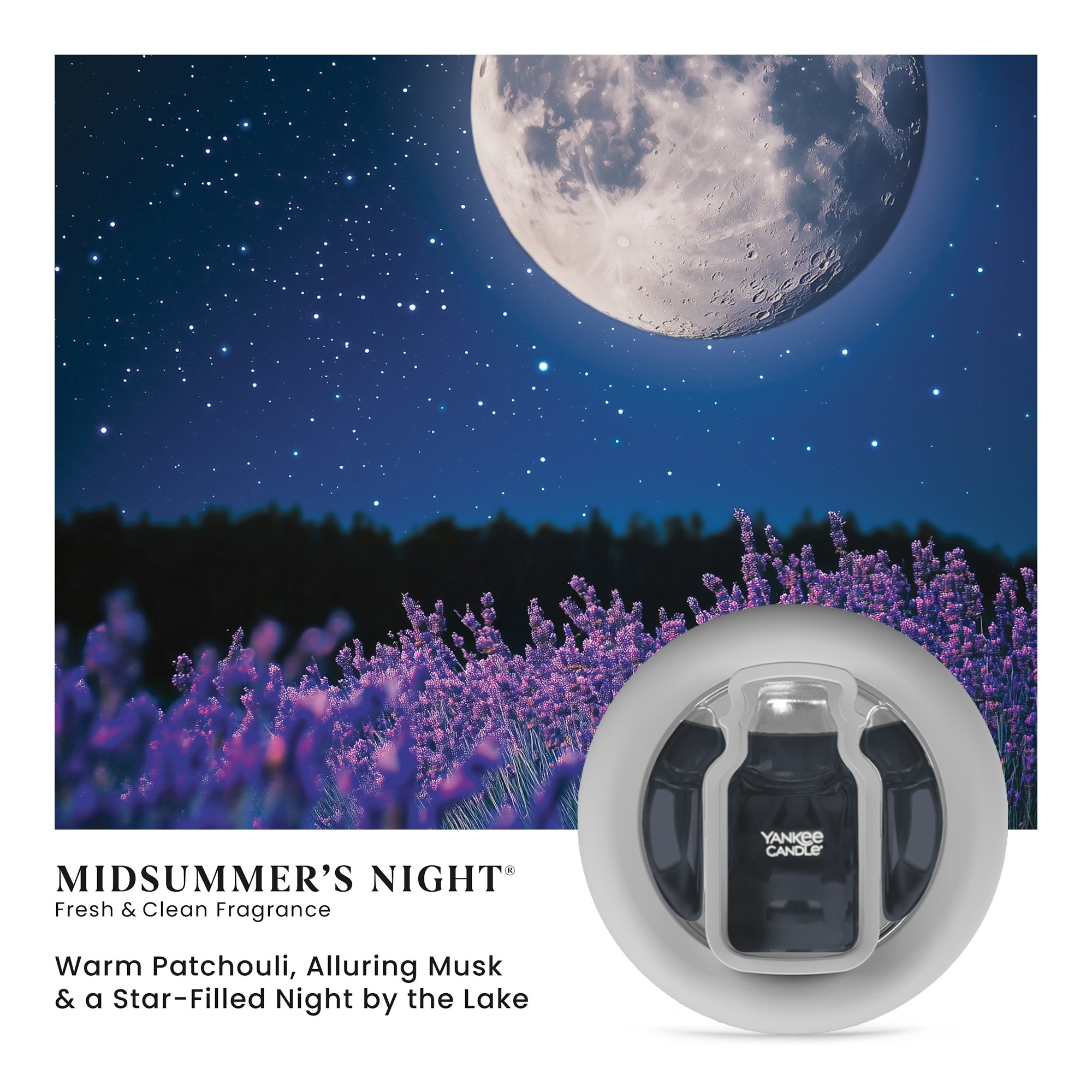 MidSummer's Night - Image 2