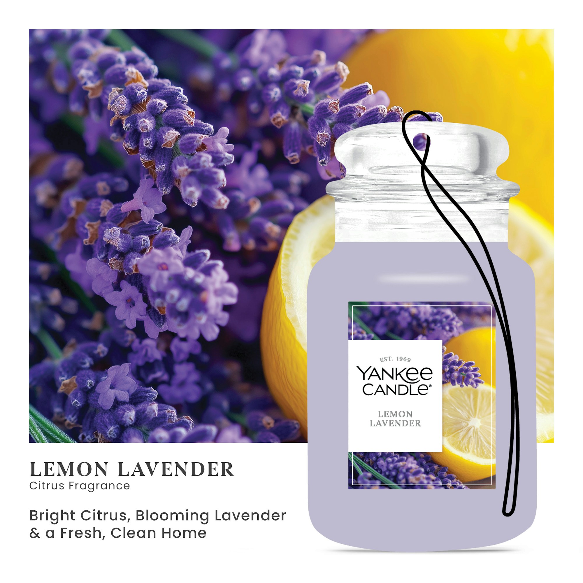 Lemon Lavender - Image 2