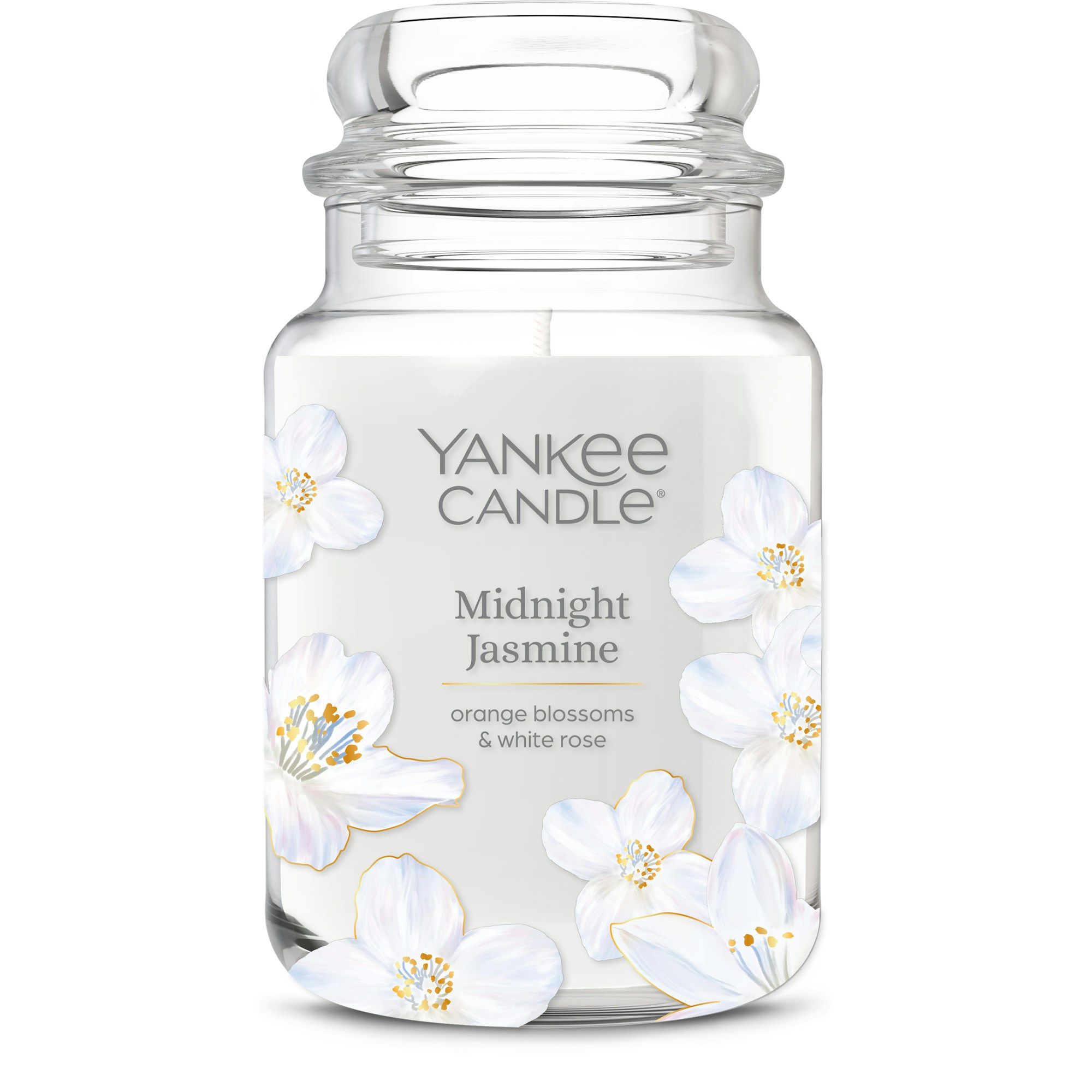 Midnight Jasmine